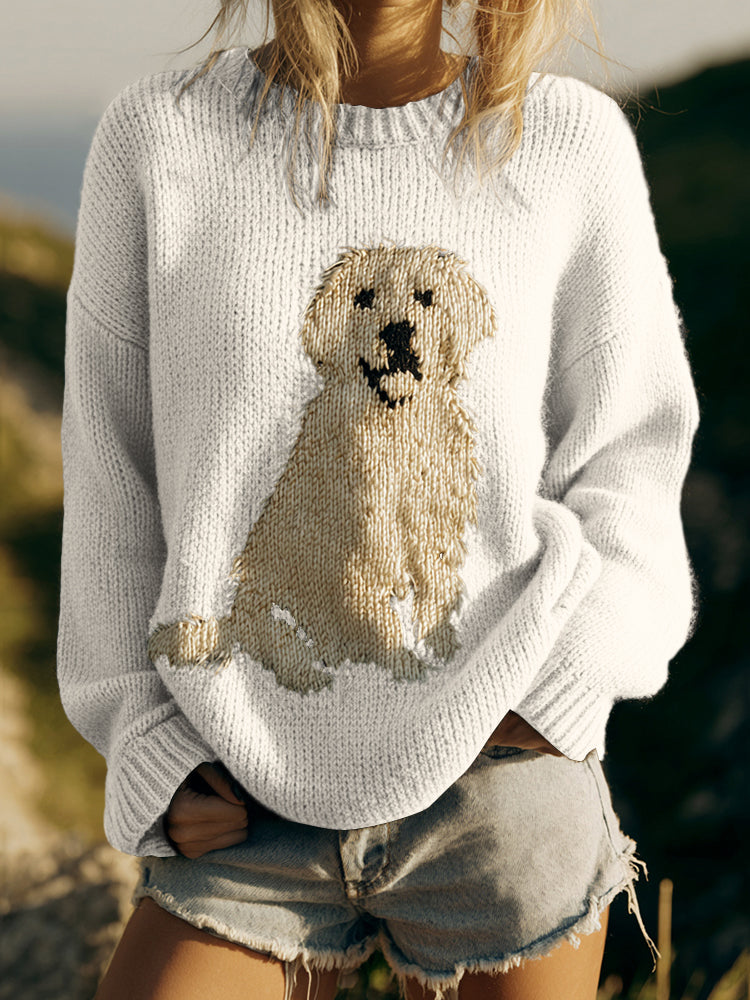 Thoughtfully Designed Jumper