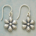 Silver Daisy Earrings
