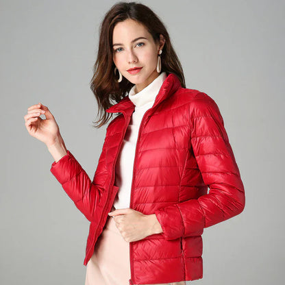 Classic Designed Jacket
