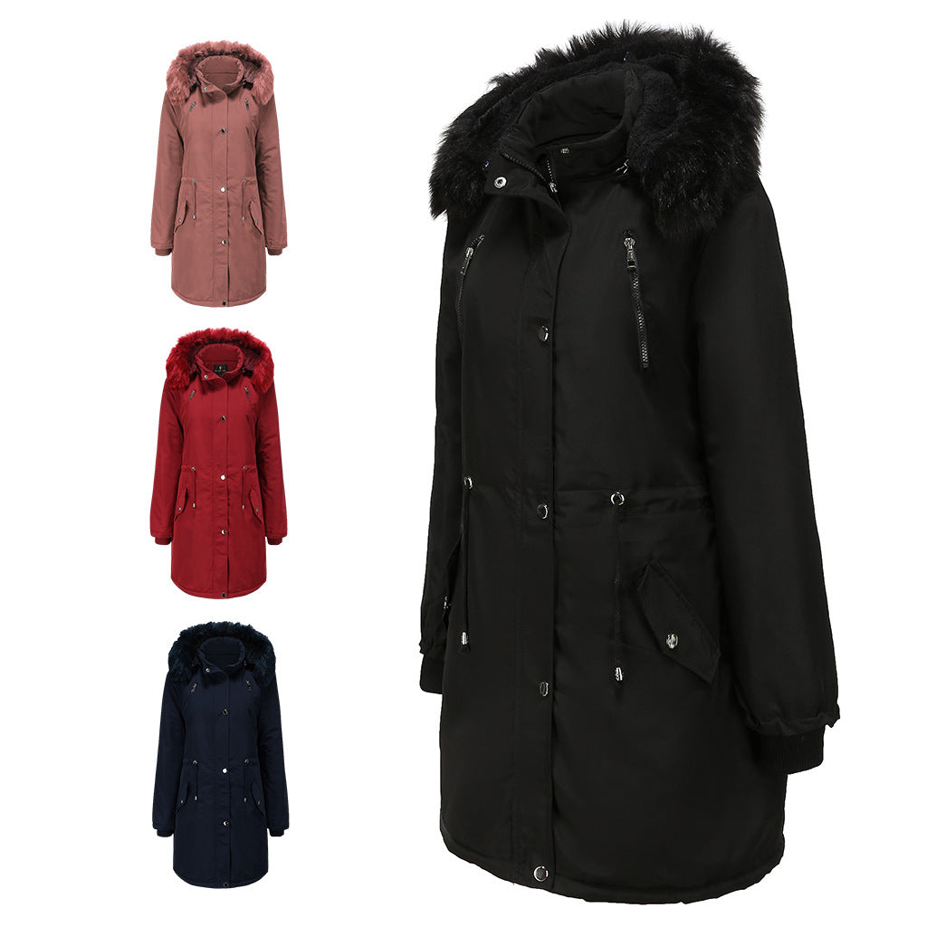 Elegantly Designed Garment