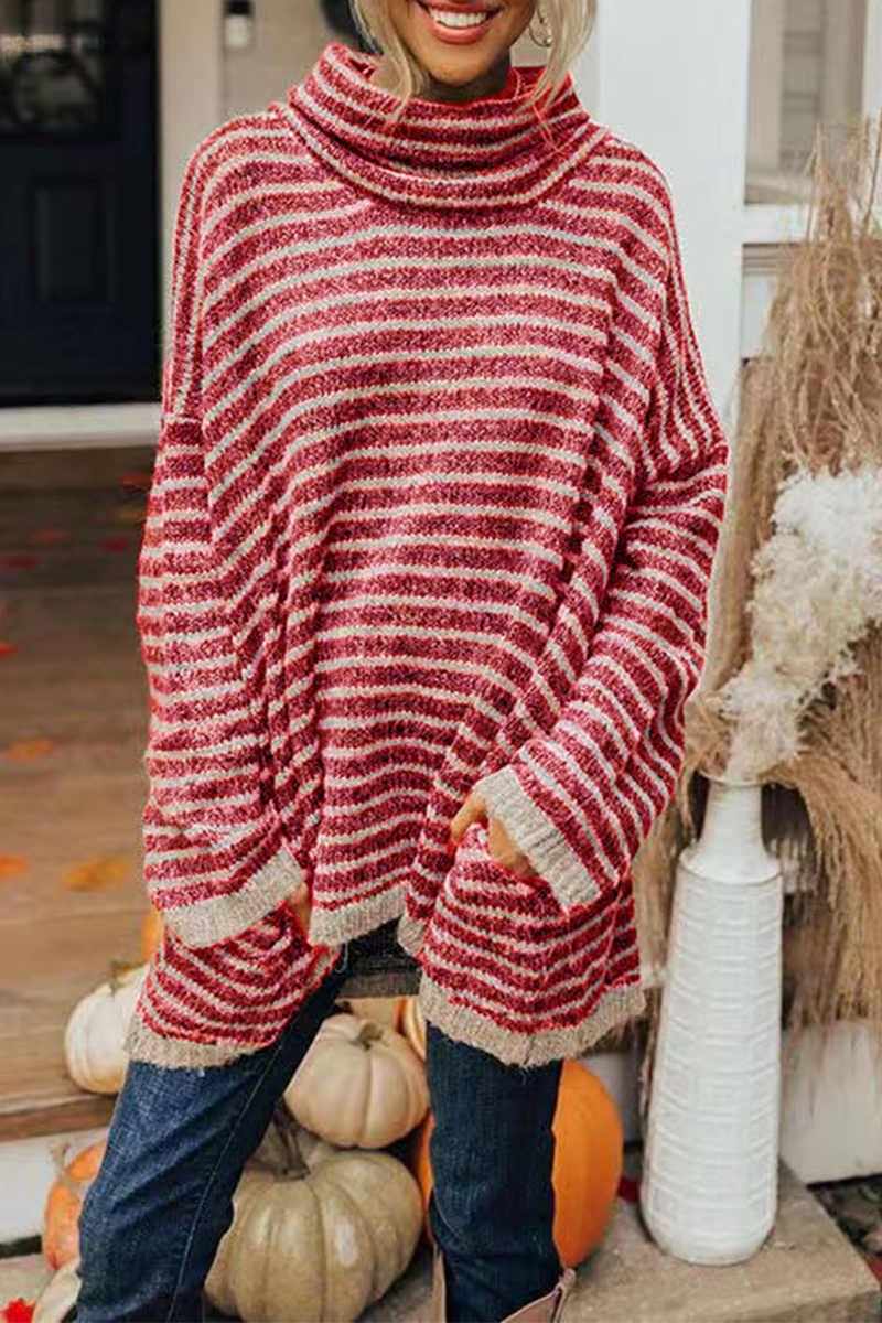 Thoughtfully Designed Jumper