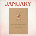 Signature Birthstone Necklace