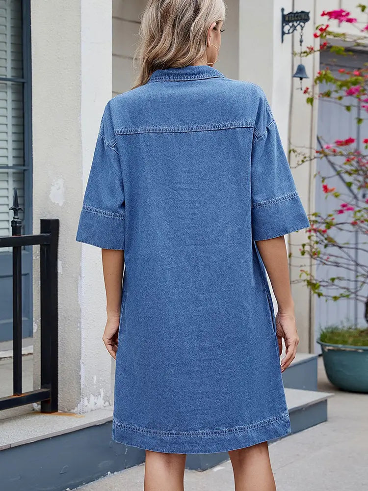 Timeless Vintage Style Dress
