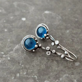 Blue Crystal Earrings