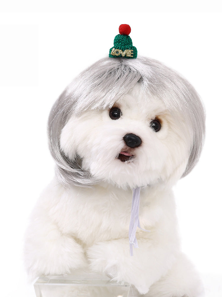Dog Hair Wig elevenforest