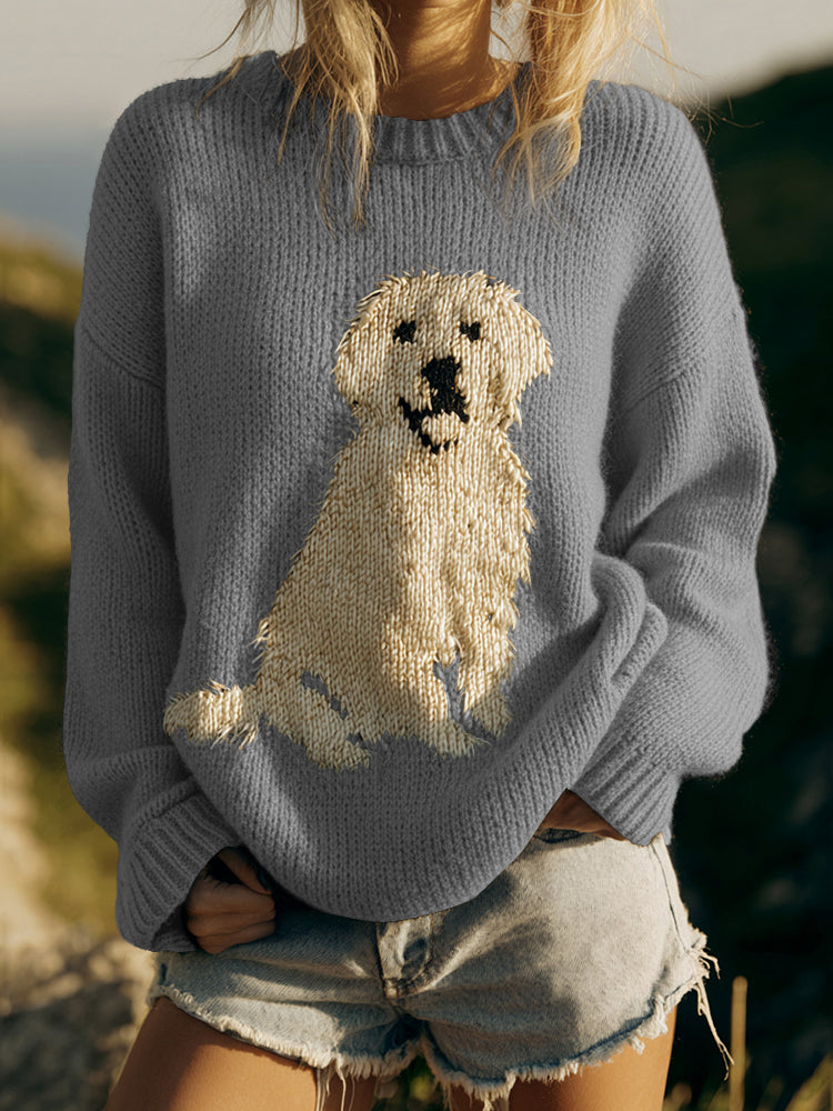 Thoughtfully Designed Jumper