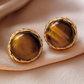 Brown Bright Stone Rounded Earrings