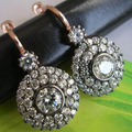 Bright Zirconia Rounded Earrings