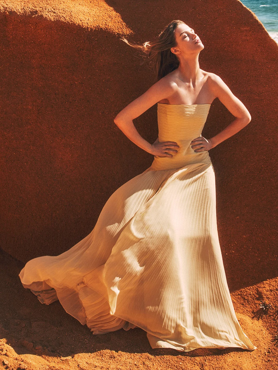 Elegantly Designed Dress