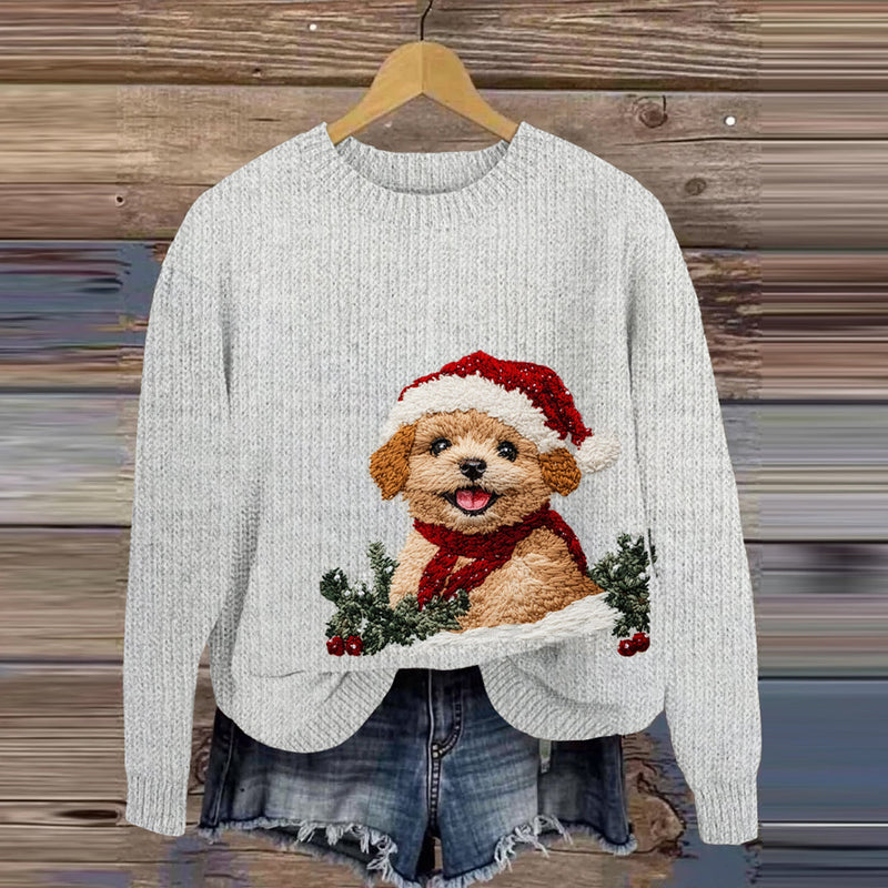 Elegantly Designed Jumper