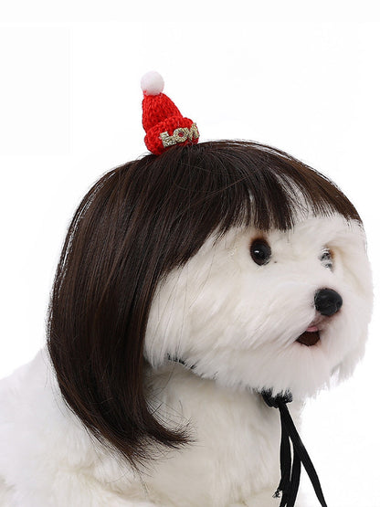 Dog Hair Wig elevenforest