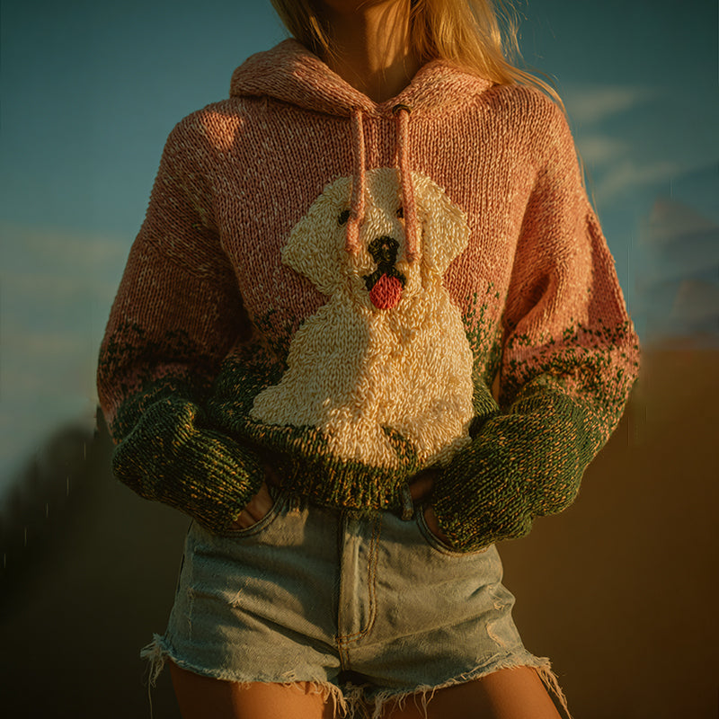 Classic Designed Jumper