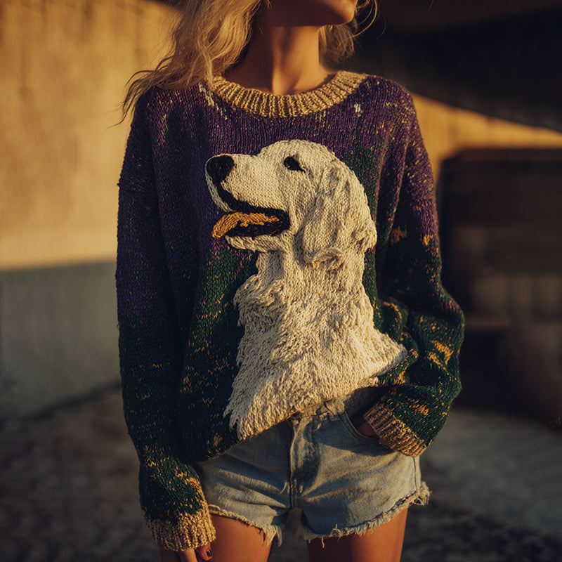 Elegantly Designed Jumper
