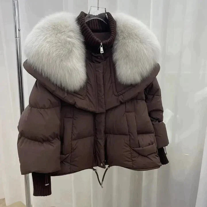 Elegantly Designed Jacket