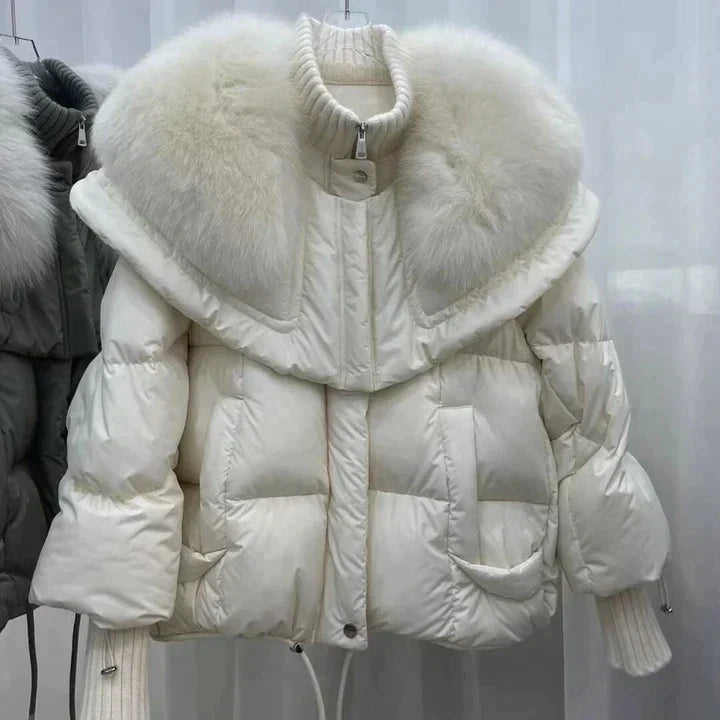 Elegantly Designed Jacket