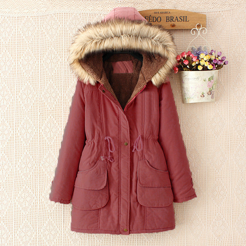 Elegantly Designed Garment