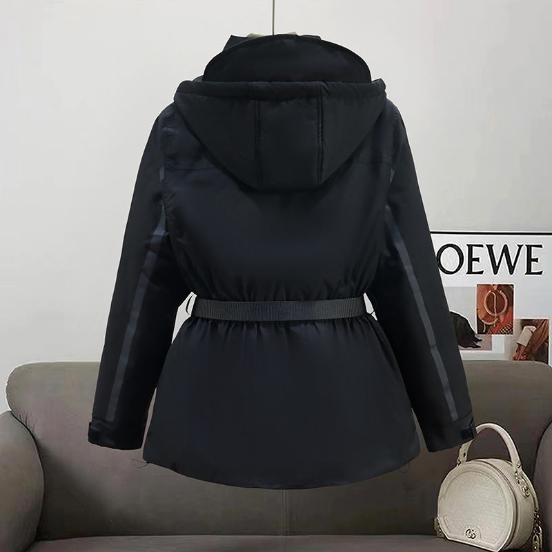 Classic Designed Garment