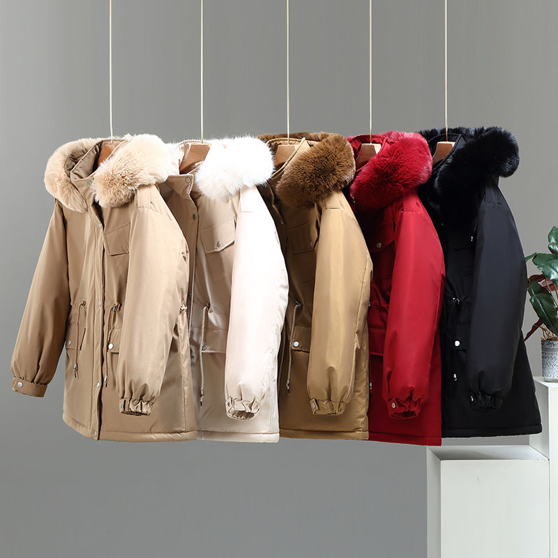 Gracefully Designed Garment