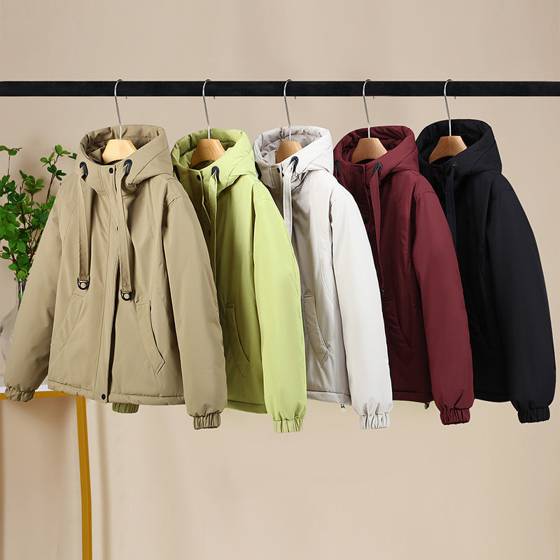 Classic Designed Garment