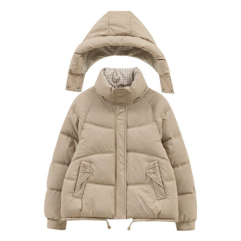 Classic Designed Garment