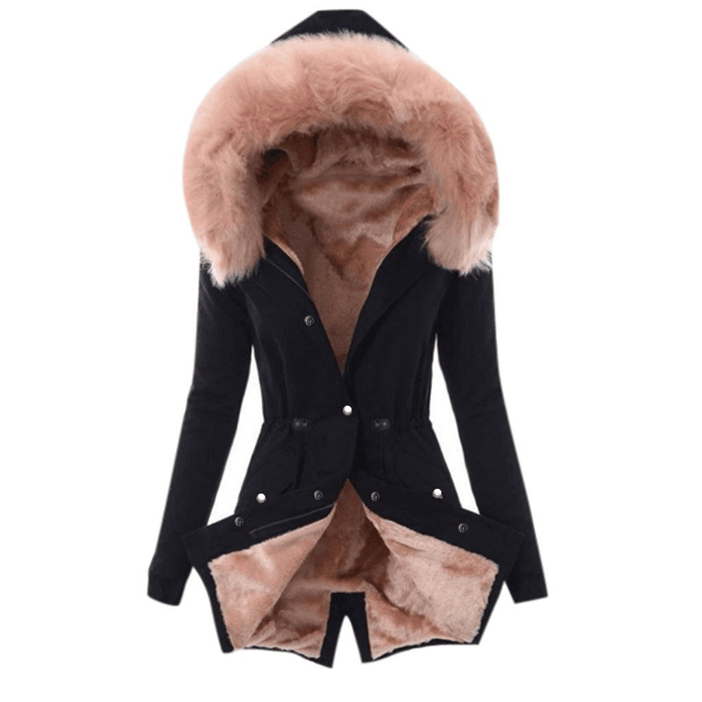 Classic Designed Garment