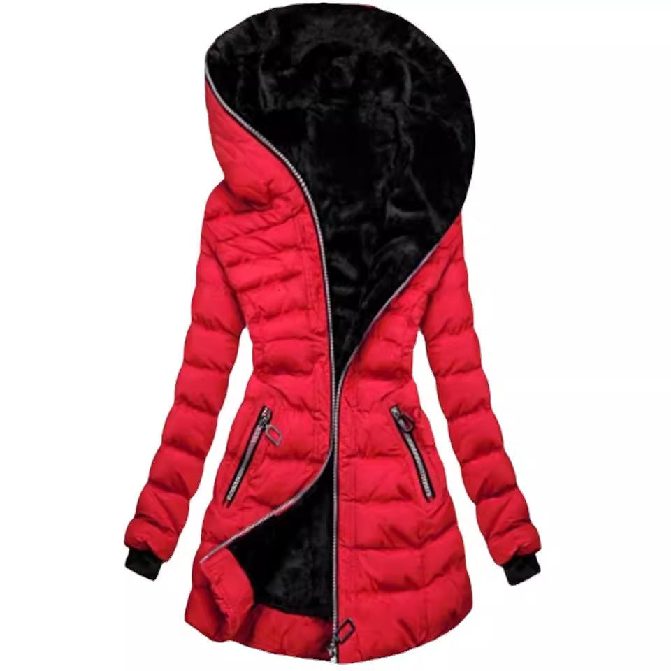 Thoughtfully Designed Garment