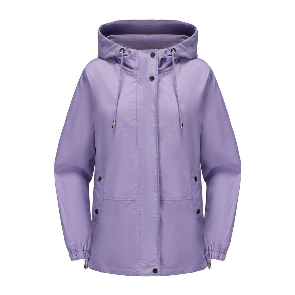 Lavendel