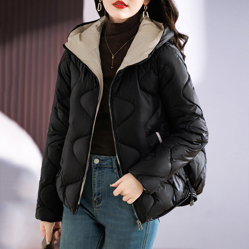 Classic Designed Garment