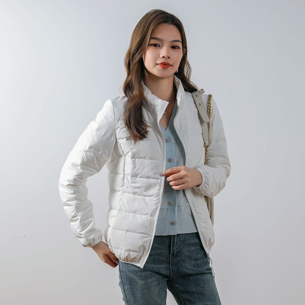 Classic Designed Garment
