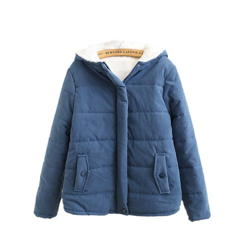 Classic Designed Garment