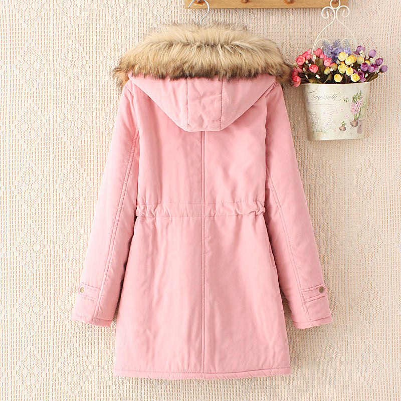 Elegantly Designed Garment