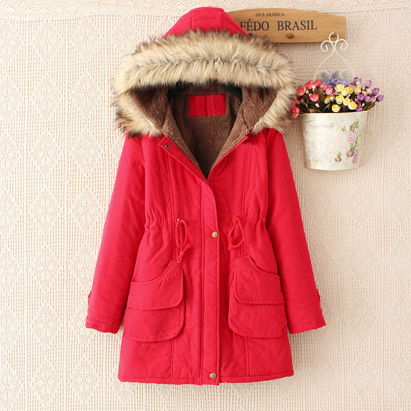 Elegantly Designed Garment