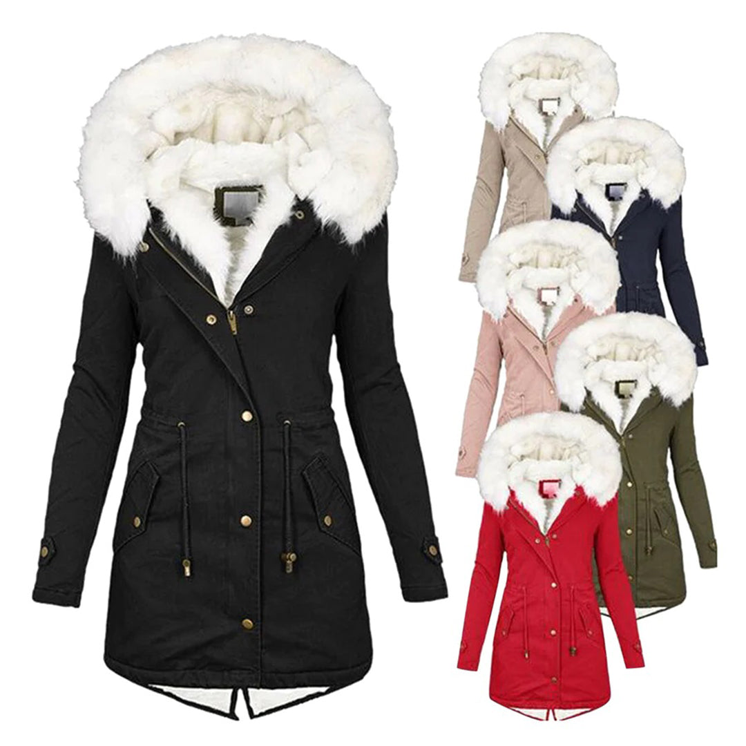 Classic Designed Garment