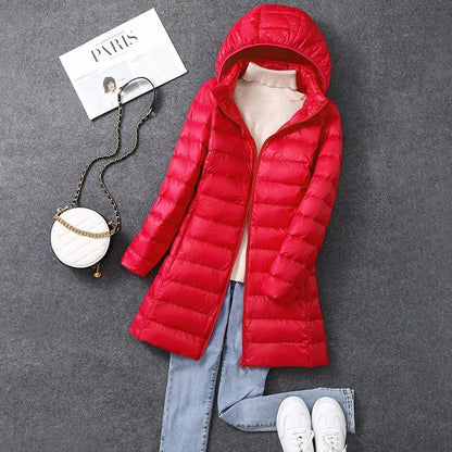 Beautifully Crafted Jacket