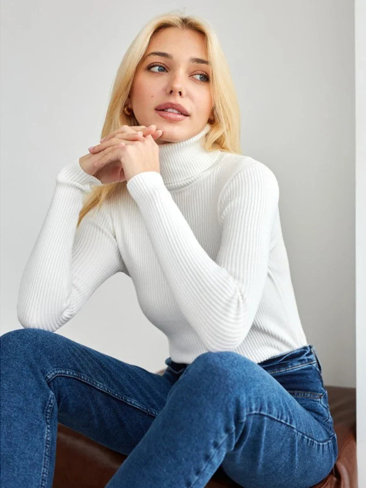 Bold and Beautiful Sweater