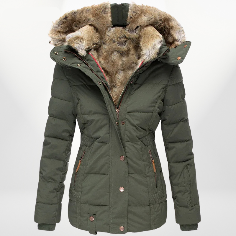 Elegantly Designed Jacket