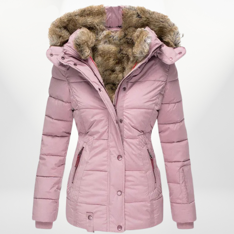Elegantly Designed Jacket