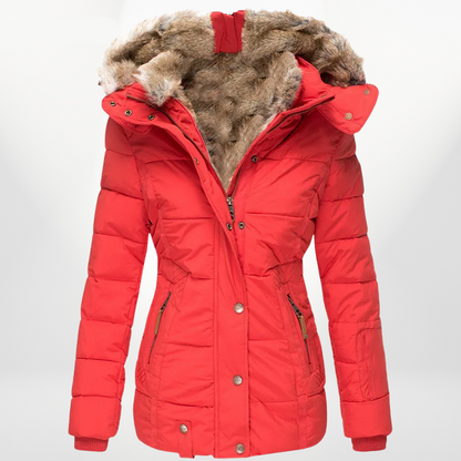 Elegantly Designed Jacket