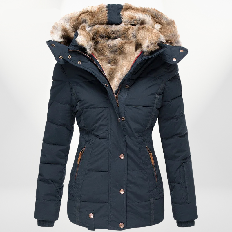 Elegantly Designed Jacket