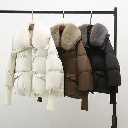 Classic Designed Jacket