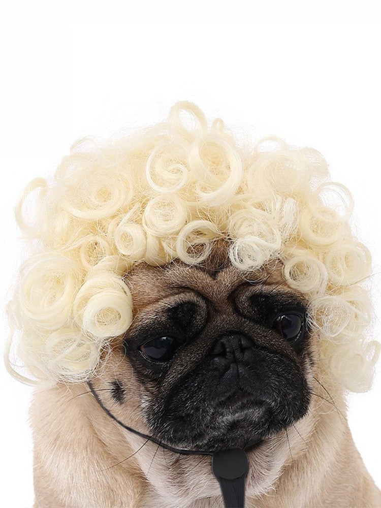 Dog Hair Wig elevenforest