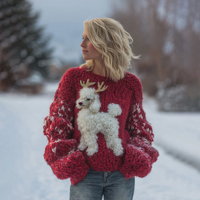 Thoughtfully Designed Jumper