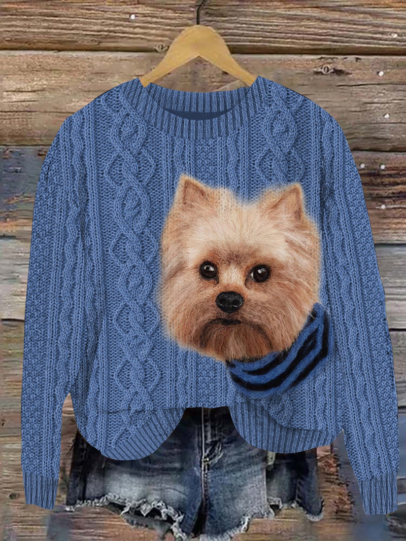 Thoughtfully Designed Jumper
