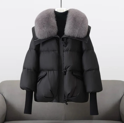 Elegantly Designed Jacket