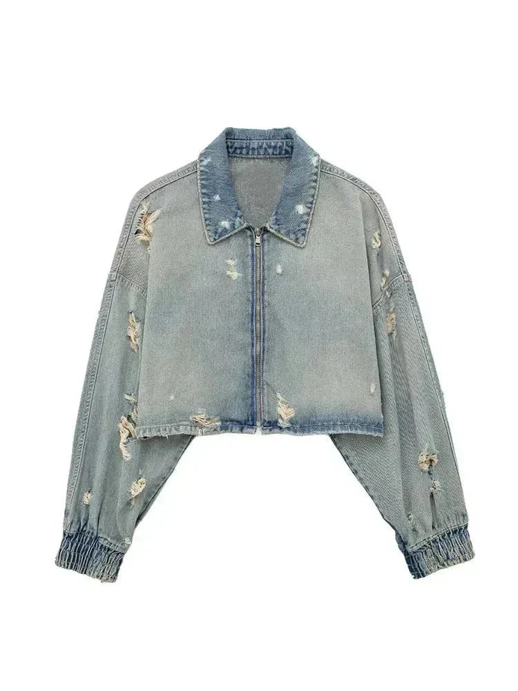 Elegantly Designed Jacket
